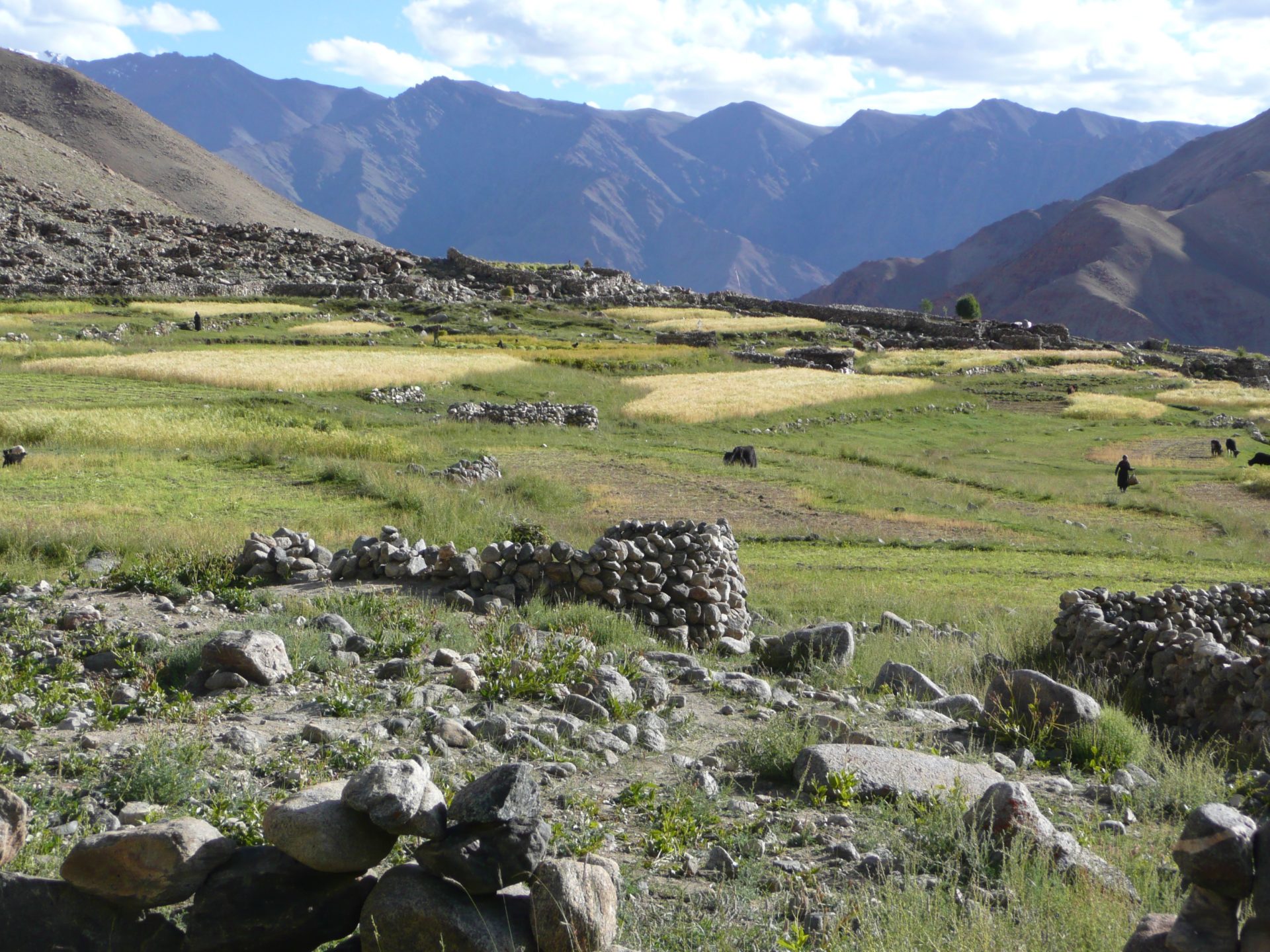 upper valley Phuktse